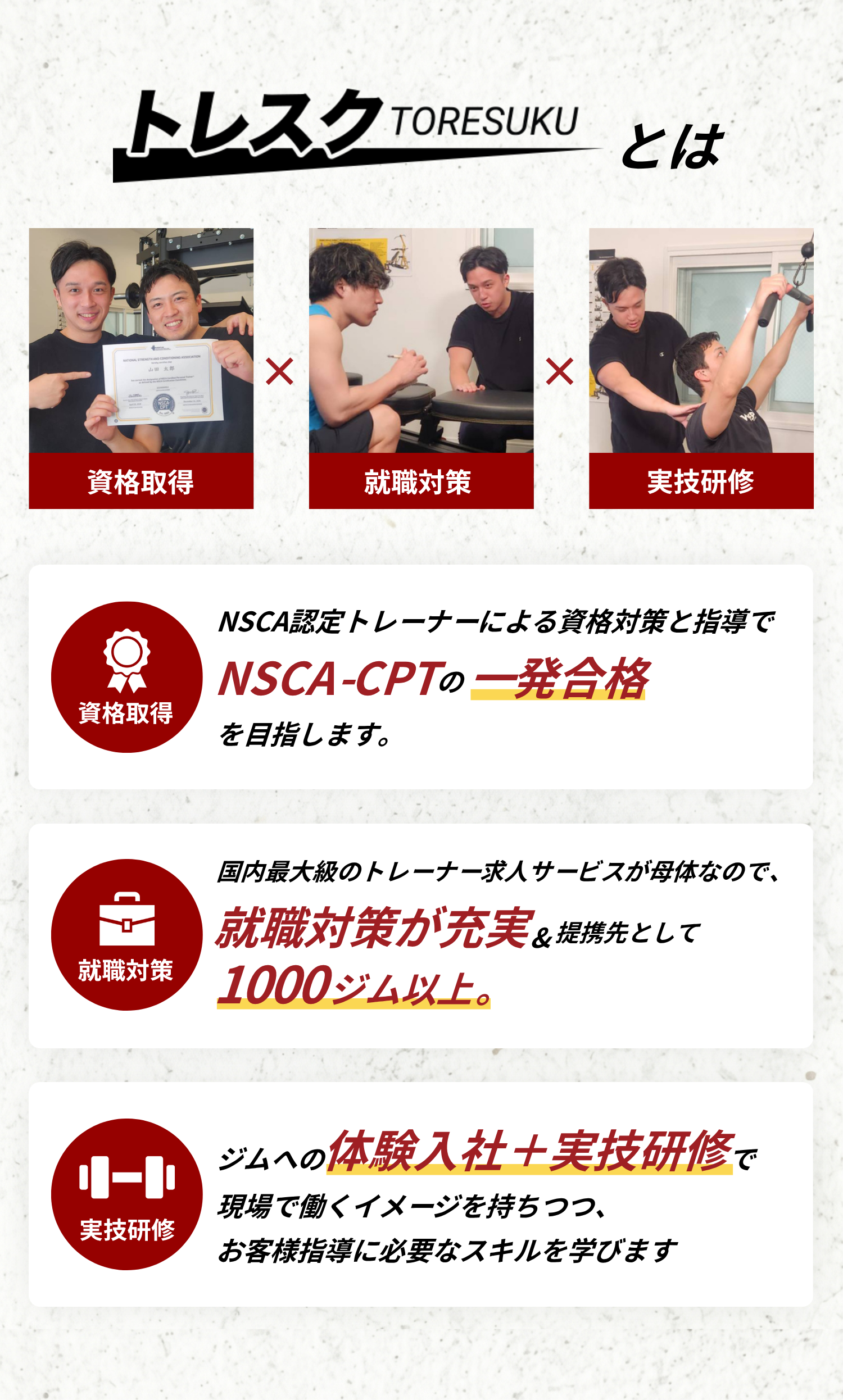 トレスクのスクール概要.