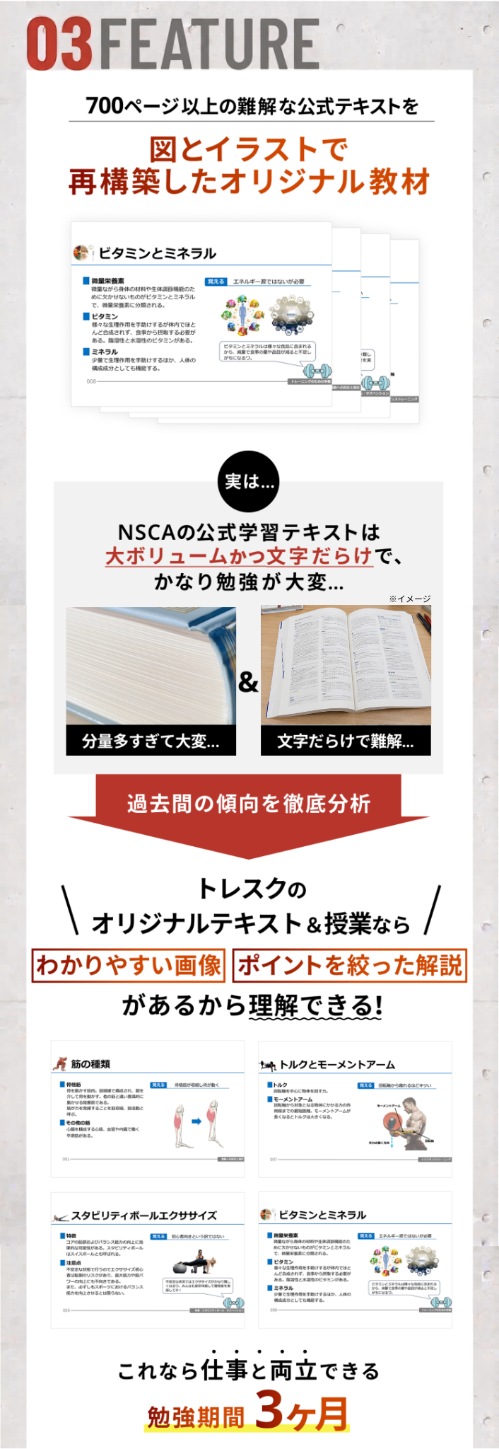 トレスクの特徴3.